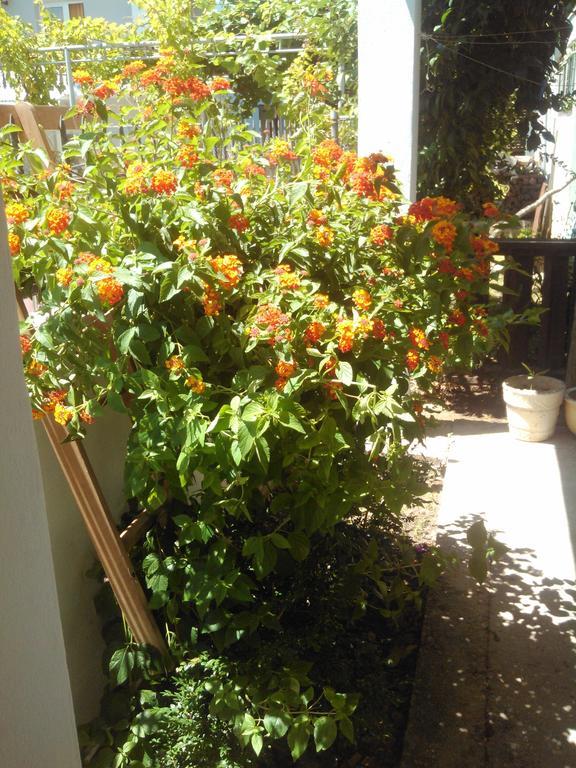 Apartmani Dado Ulcinj Exterior photo
